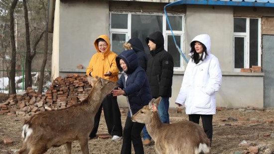 会后华大细胞团队实地考察东鳌鹿场及东鳌鹿业集团。