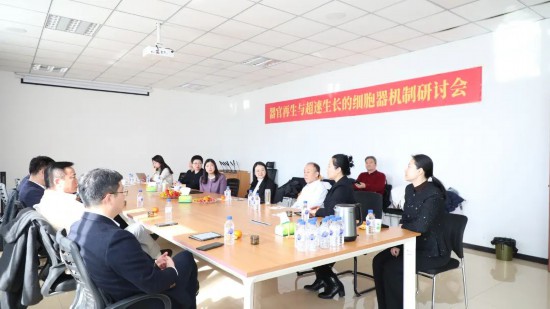 研讨会现场。